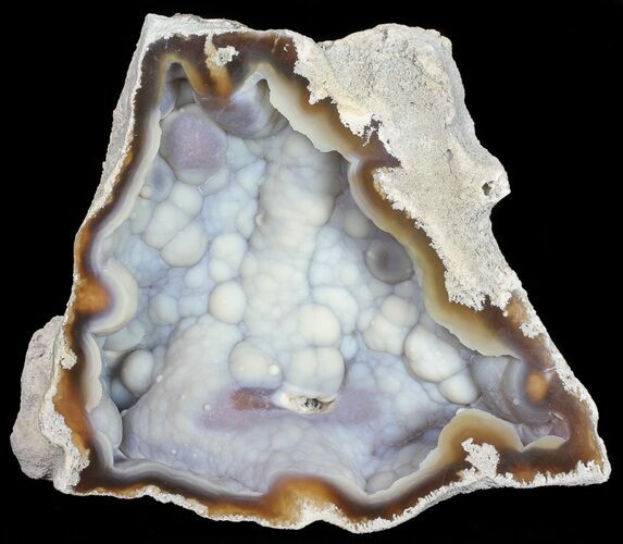 Agatized Fossil Coral (Purple Chalcedony) - Florida #56127